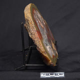POLISHED AGATE, Agate Creek, Australia YAC005