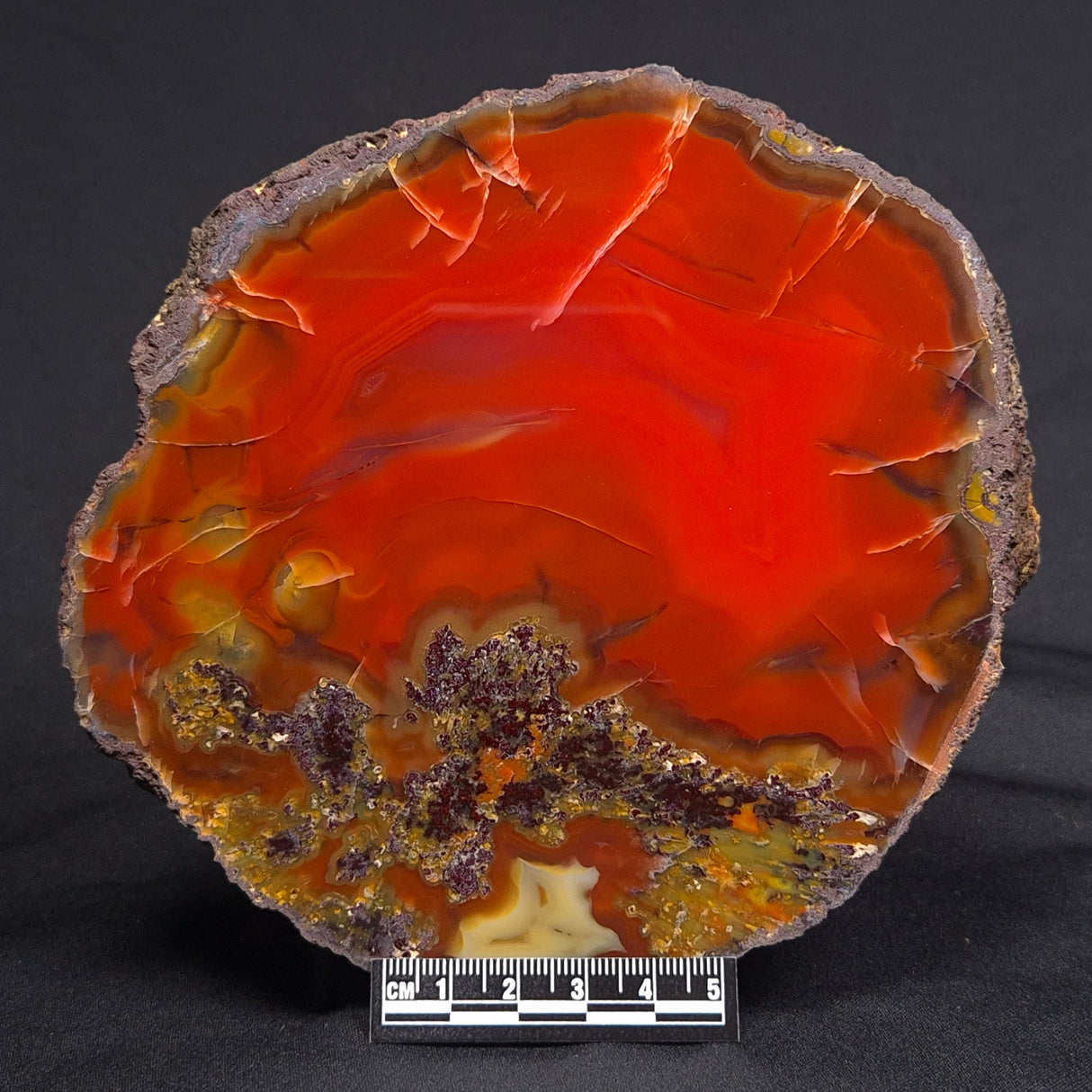 POLISHED AGATE, Agate Creek, Australia YAC007
