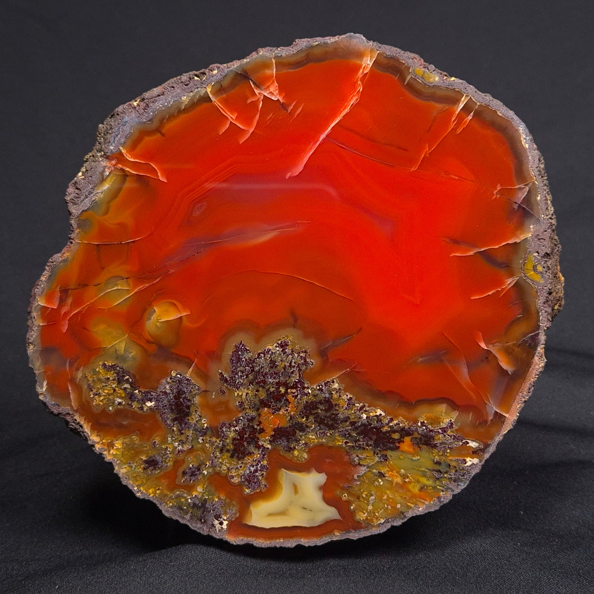 POLISHED AGATE, Agate Creek, Australia YAC007
