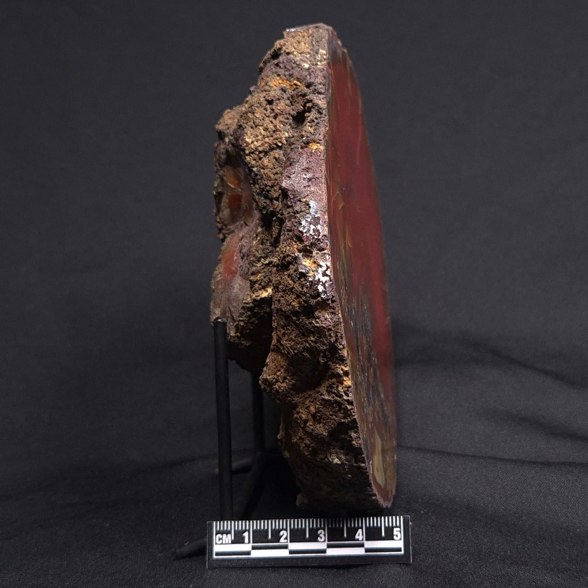 POLISHED AGATE, Agate Creek, Australia YAC007