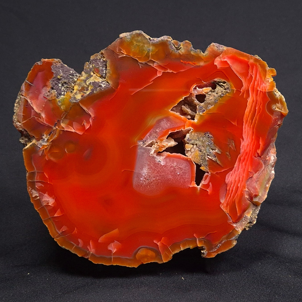 POLISHED AGATE, Agate Creek, Australia YAC008
