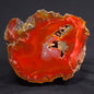 POLISHED AGATE, Agate Creek, Australia YAC008
