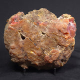 POLISHED AGATE, Agate Creek, Australia YAC008