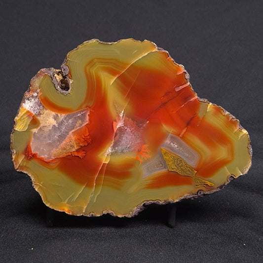 POLISHED AGATE, Agate Creek, Australia YAC012