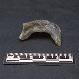 DARWIN GLASS IMPACTITE, Impact Melt, Australia YDG033