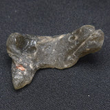 DARWIN GLASS IMPACTITE, Impact Melt, Australia YDG033