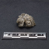 DARWIN GLASS IMPACTITE, Impact Melt, Australia YDG034