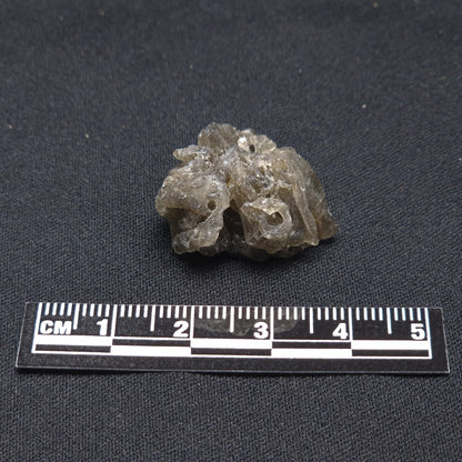 DARWIN GLASS INPACTITE, Impact Melt, Australia YDG034