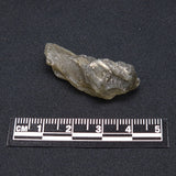 DARWIN GLASS IMPACTITE, Impact Melt, Australia YDG035