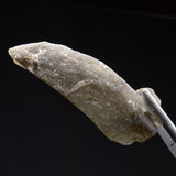 DARWIN GLASS INPACTITE, Impact Melt, Australia YDG037