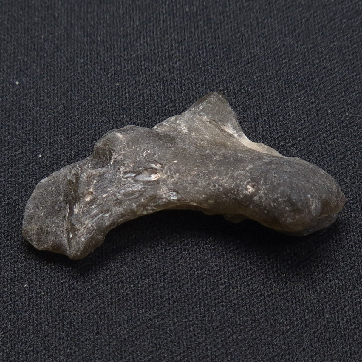 DARWIN GLASS IMPACTITE, Impact Melt, Australia YDG038