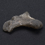 DARWIN GLASS IMPACTITE, Impact Melt, Australia YDG038
