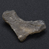 DARWIN GLASS IMPACTITE, Impact Melt, Australia YDG038