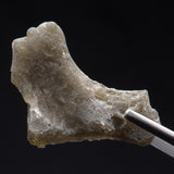 DARWIN GLASS IMPACTITE, Impact Melt, Australia YDG038