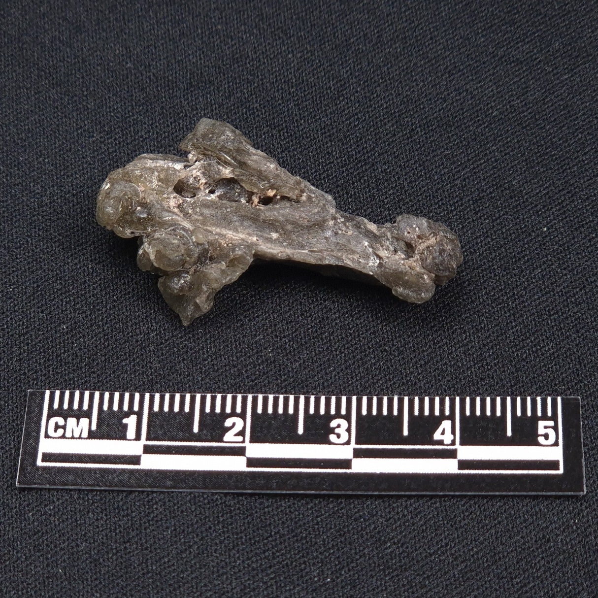 DARWIN GLASS IMPACTITE, Impact Melt, Australia YDG046