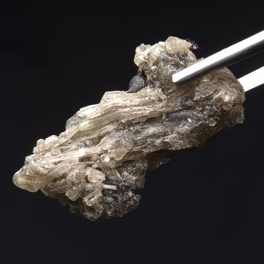 DARWIN GLASS INPACTITE, Impact Melt, Australia YDG048