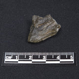 DARWIN GLASS IMPACTITE, Impact Melt, Australia YDG049