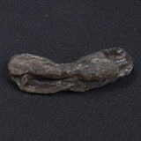 DARWIN GLASS INPACTITE, Impact Melt, Australia YDG050