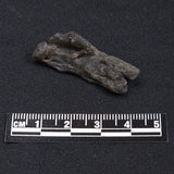 DARWIN GLASS IMPACTITE, Impact Melt, Australia YDG052