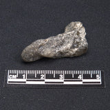 DARWIN GLASS IMPACTITE, Impact Melt, Australia YDG056