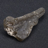 DARWIN GLASS IMPACTITE, Impact Melt, Australia YDG056