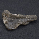 DARWIN GLASS IMPACTITE, Impact Melt, Australia YDG056