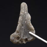 DARWIN GLASS IMPACTITE, Impact Melt, Australia YDG056