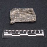 DARWIN GLASS IMPACTITE, Impact Melt, Australia YDG057
