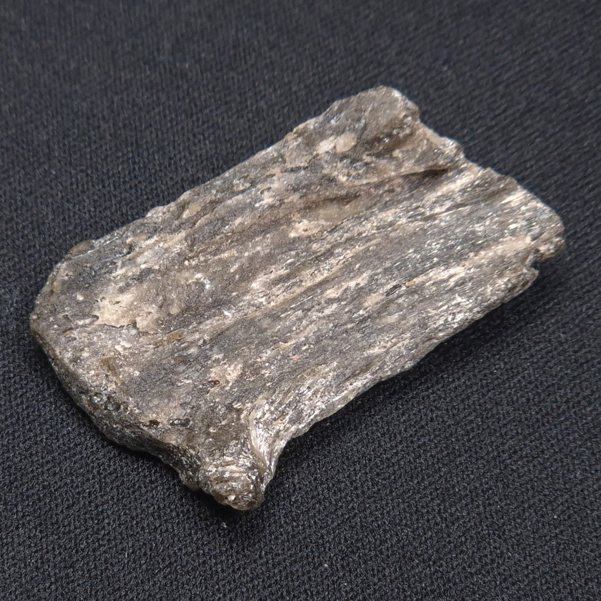 DARWIN GLASS IMPACTITE, Impact Melt, Australia YDG057