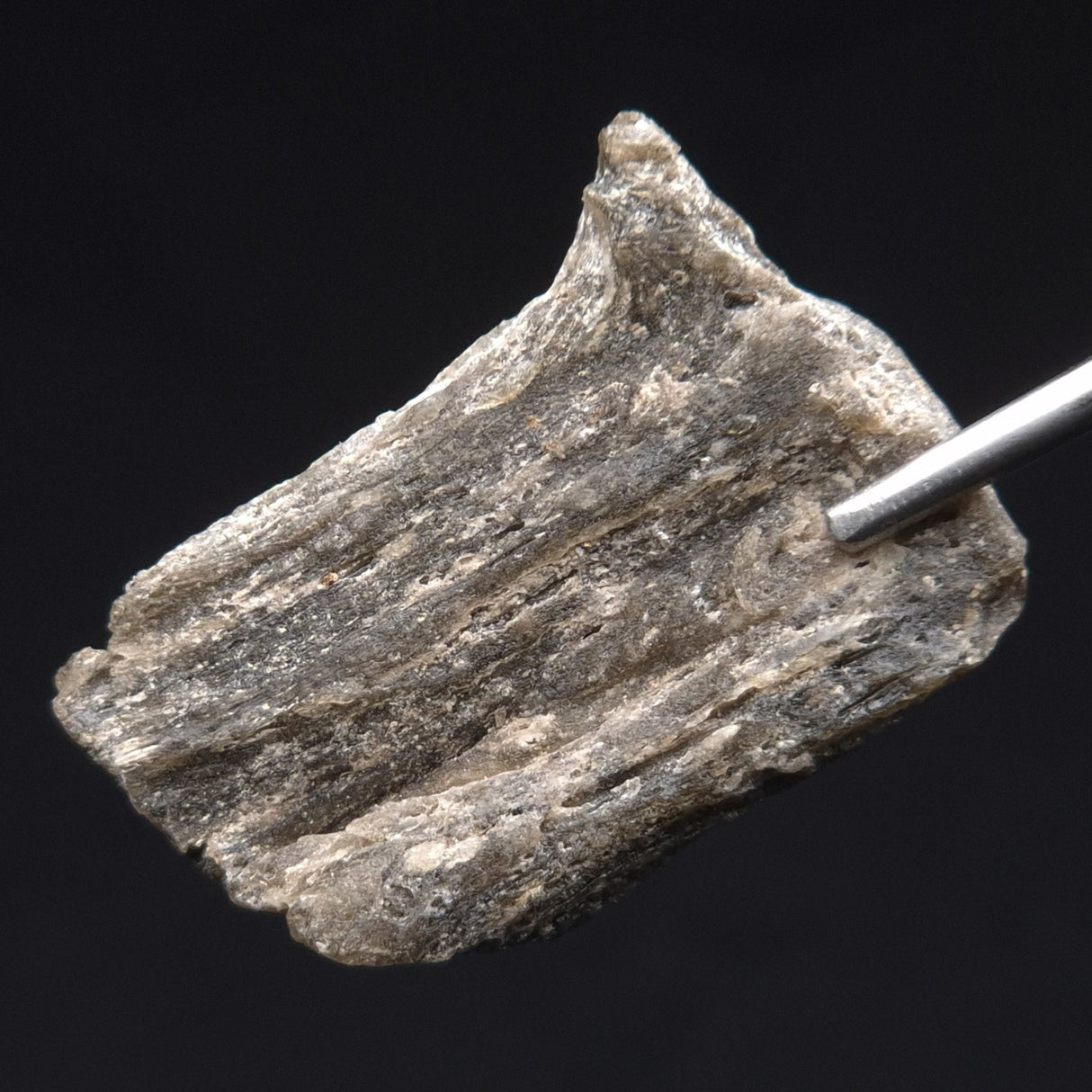 DARWIN GLASS IMPACTITE, Impact Melt, Australia YDG057