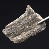 DARWIN GLASS IMPACTITE, Impact Melt, Australia YDG057