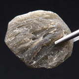 DARWIN GLASS IMPACTITE, Impact Melt, Australia YDG058