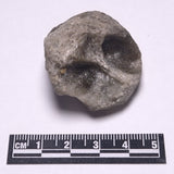 DARWIN GLASS INPACTITE, Impact Melt, Australia YDG060