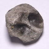DARWIN GLASS INPACTITE, Impact Melt, Australia YDG060