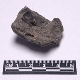 DARWIN GLASS INPACTITE, Impact Melt, Australia YDG062