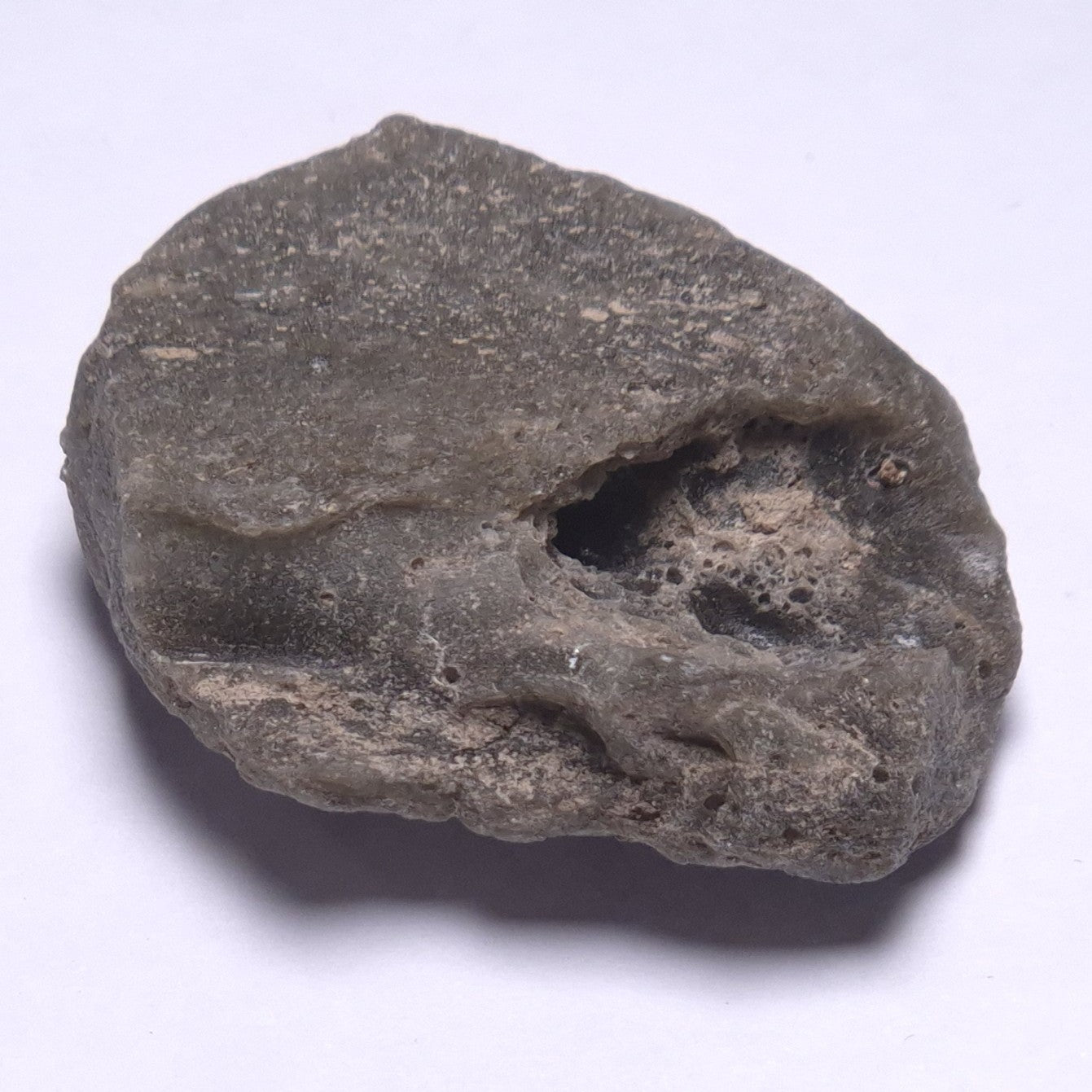 DARWIN GLASS INPACTITE, Impact Melt, Australia YDG067
