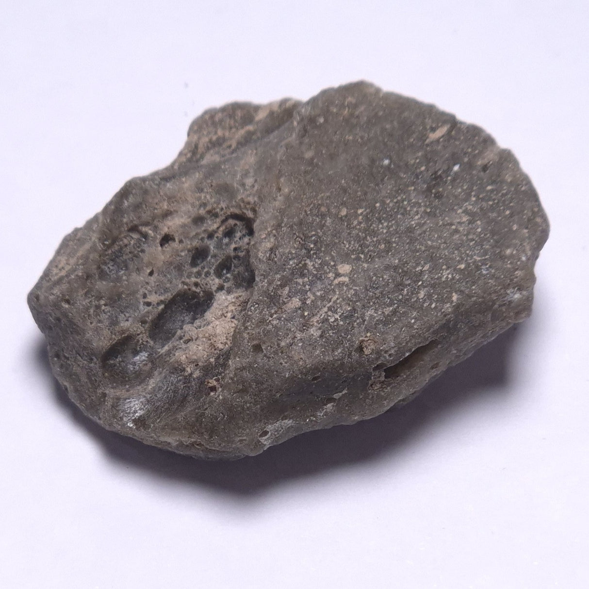 DARWIN GLASS IMPACTITE, Impact Melt, Australia YDG067