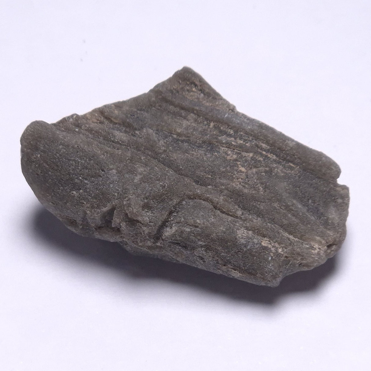 DARWIN GLASS IMPACTITE, Impact Melt, Australia YDG068