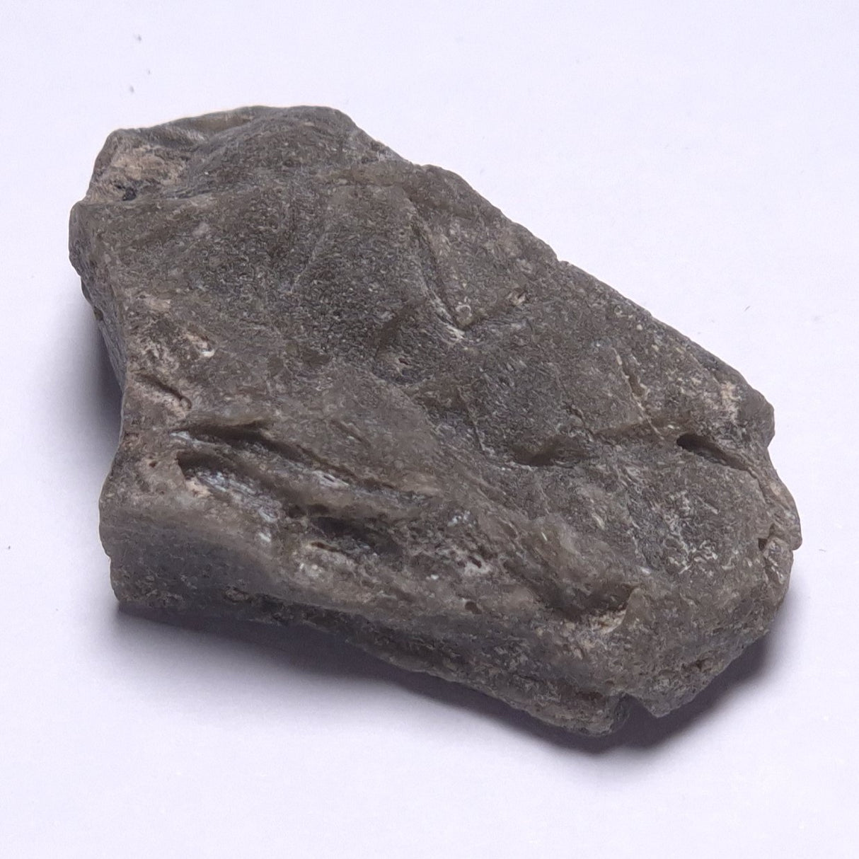 DARWIN GLASS IMPACTITE, Impact Melt, Australia YDG068