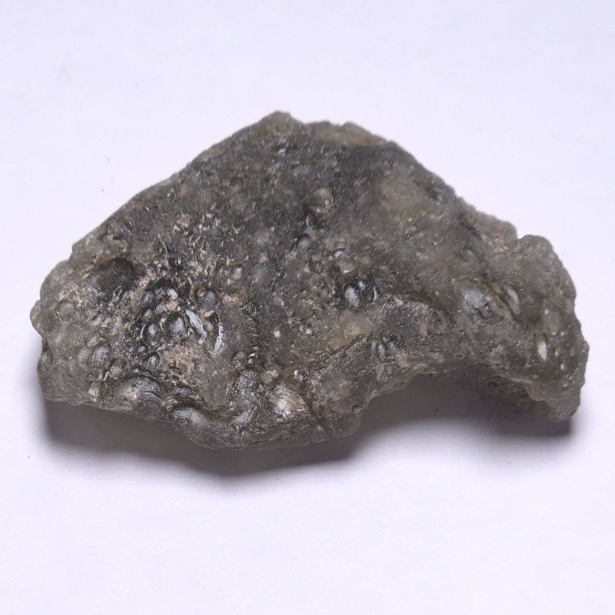 DARWIN GLASS INPACTITE, Impact Melt, Australia YDG069