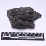 DARWIN GLASS INPACTITE, Impact Melt, Australia YDG070