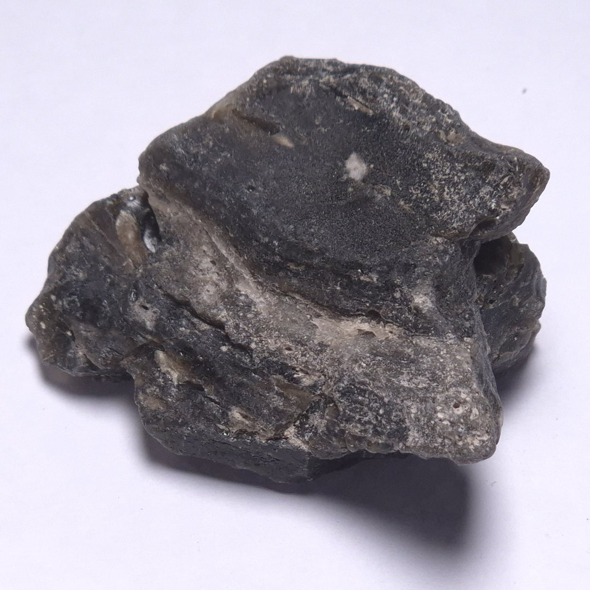 DARWIN GLASS INPACTITE, Impact Melt, Australia YDG070