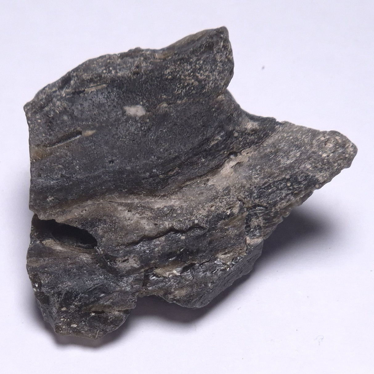 DARWIN GLASS INPACTITE, Impact Melt, Australia YDG070