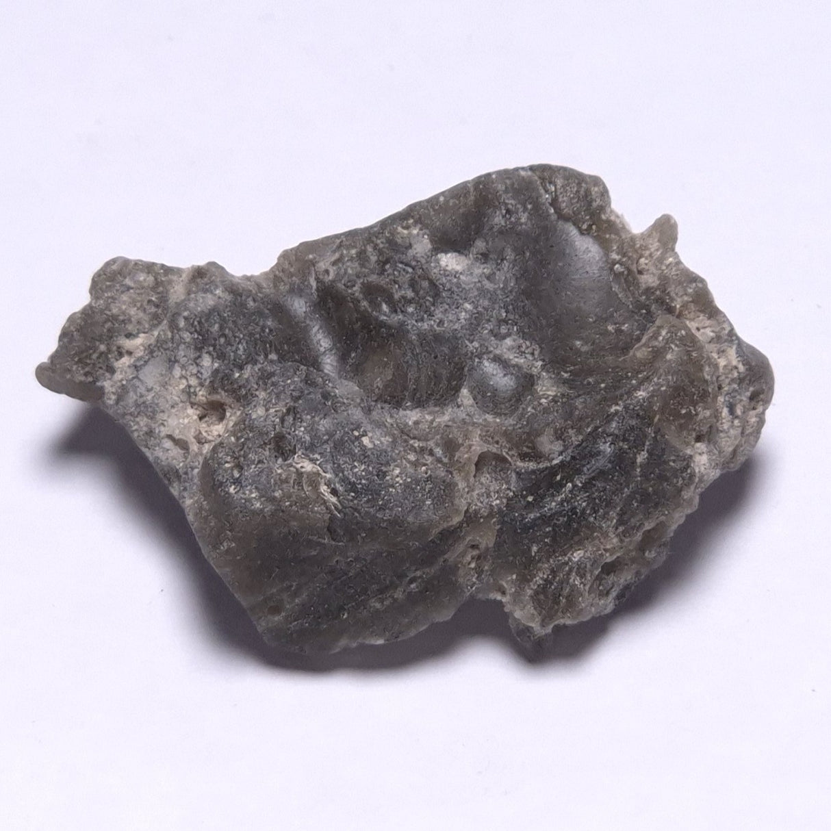 DARWIN GLASS IMPACTITE, Impact Melt, Australia YDG077