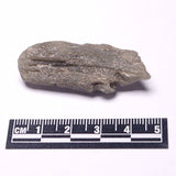 DARWIN GLASS IMPACTITE, Impact Melt, Australia YDG080