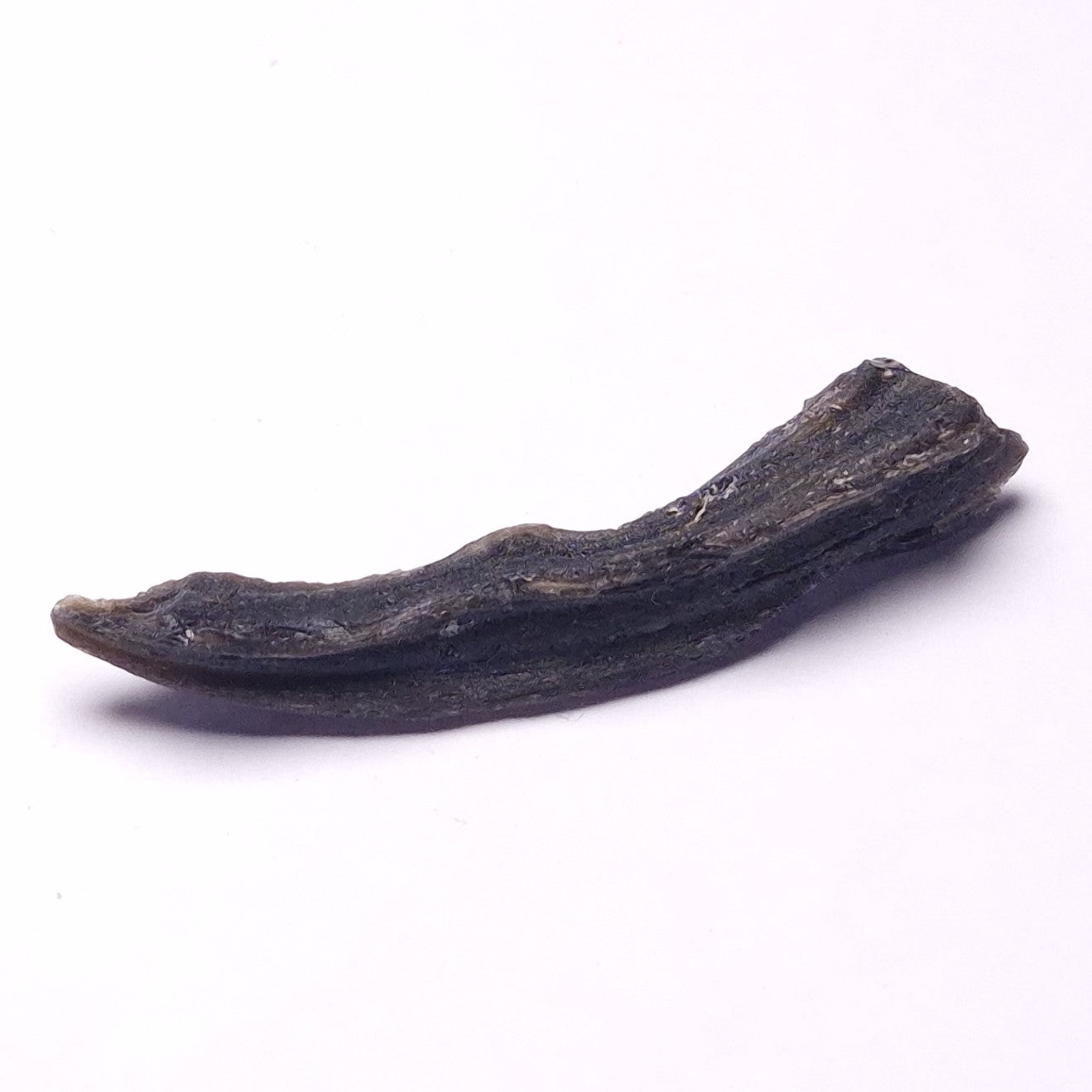 DARWIN GLASS INPACTITE, Impact Melt, Australia YDG085