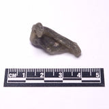 DARWIN GLASS INPACTITE, Impact Melt, Australia YDG091