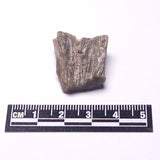 DARWIN GLASS IMPACTITE, Impact Melt, Australia YDG092