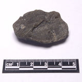 DARWIN GLASS INPACTITE, Impact Melt, Australia YDG096