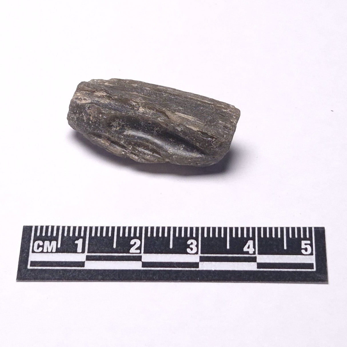 DARWIN GLASS IMPACTITE, Impact Melt, Australia YDG097